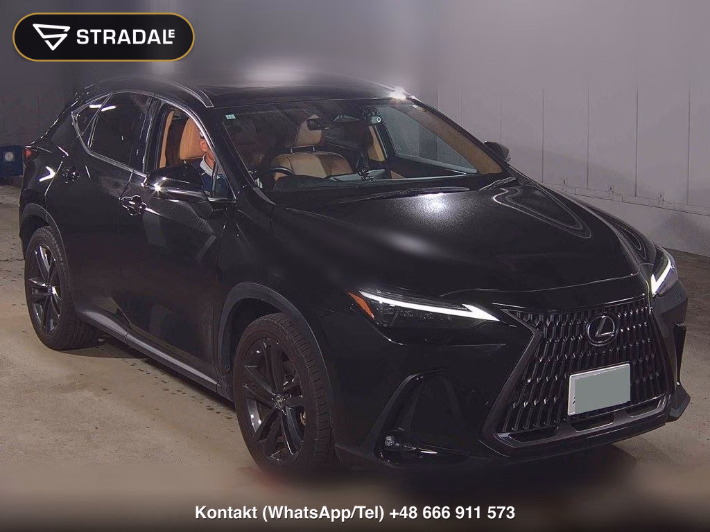 LEXUS NX NX250 VERSION L 2023, aukcja z Japonii, zdjęcie 1