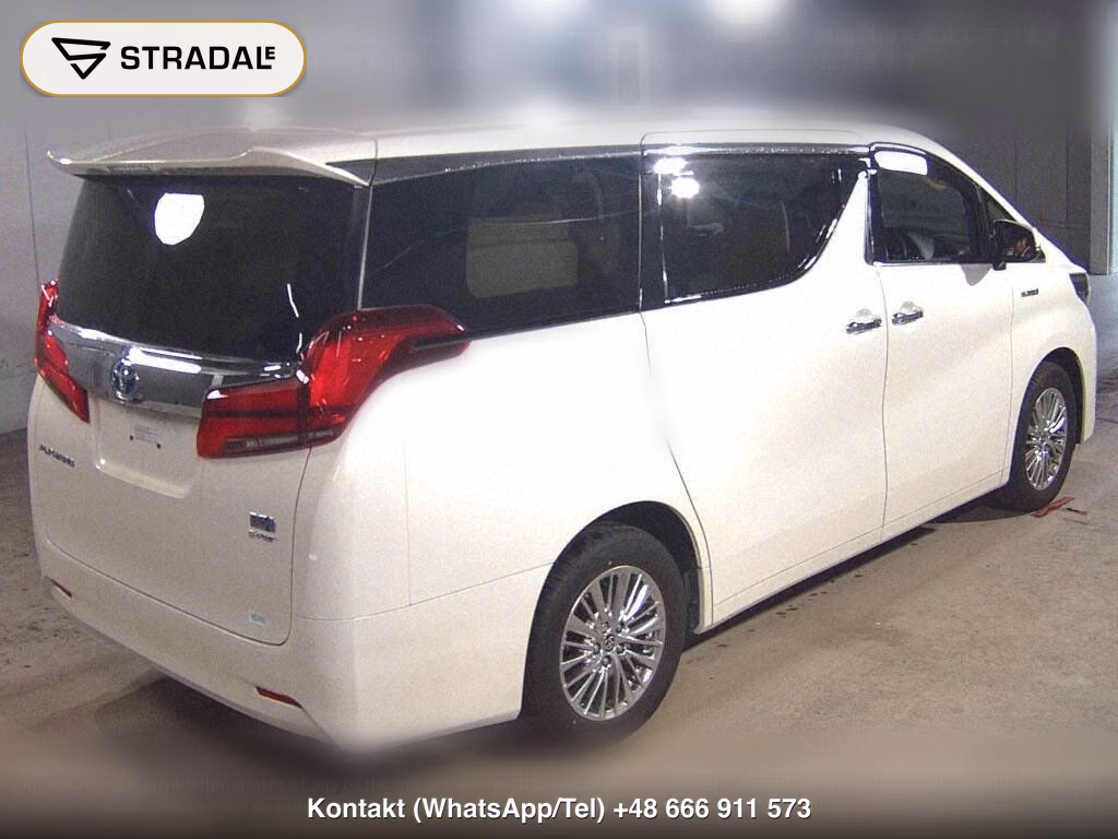 TOYOTA ALPHARD HYBRID 4WD G F PACKAGE, miniaturka 6