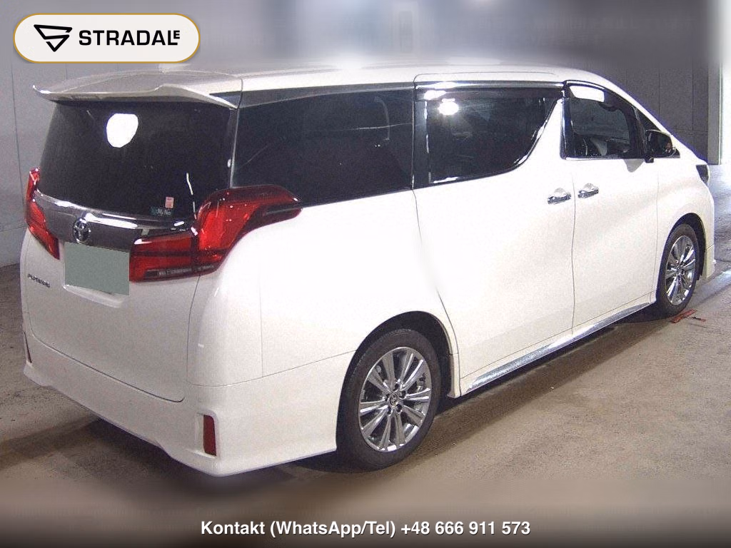TOYOTA ALPHARD 2.5S TYPE GOLD, miniaturka 6