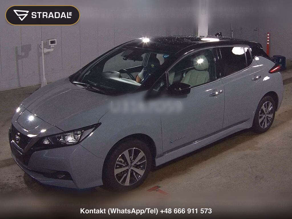 NISSAN LEAF E+ X, miniaturka 5