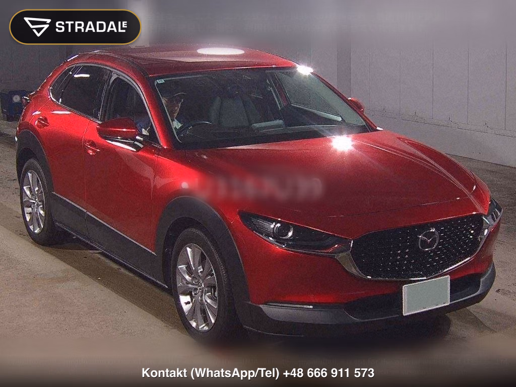 MAZDA CX-30 20S PROACTIVE TOURING SELECTION, miniaturka 2