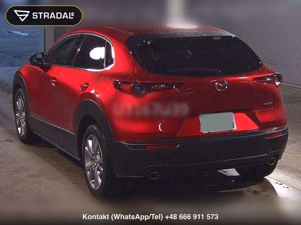 MAZDA CX-30 20S PROACTIVE TOURING SELECTION, miniaturka 3