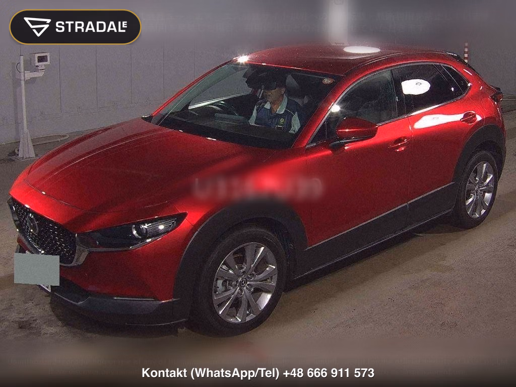 MAZDA CX-30 20S PROACTIVE TOURING SELECTION, miniaturka 5
