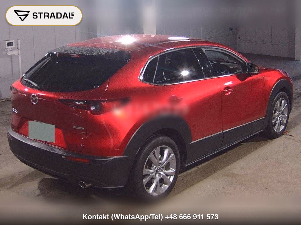 MAZDA CX-30 20S PROACTIVE TOURING SELECTION, miniaturka 6