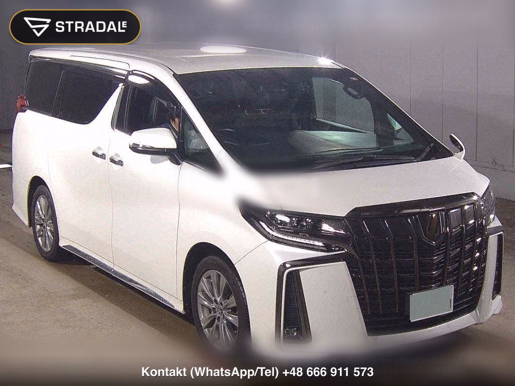TOYOTA ALPHARD S TYPE GOLDⅢ, miniaturka 2
