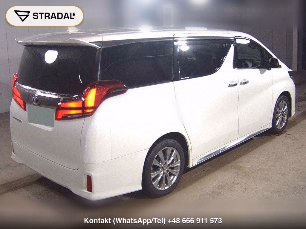 TOYOTA ALPHARD S TYPE GOLDⅢ, miniaturka 6