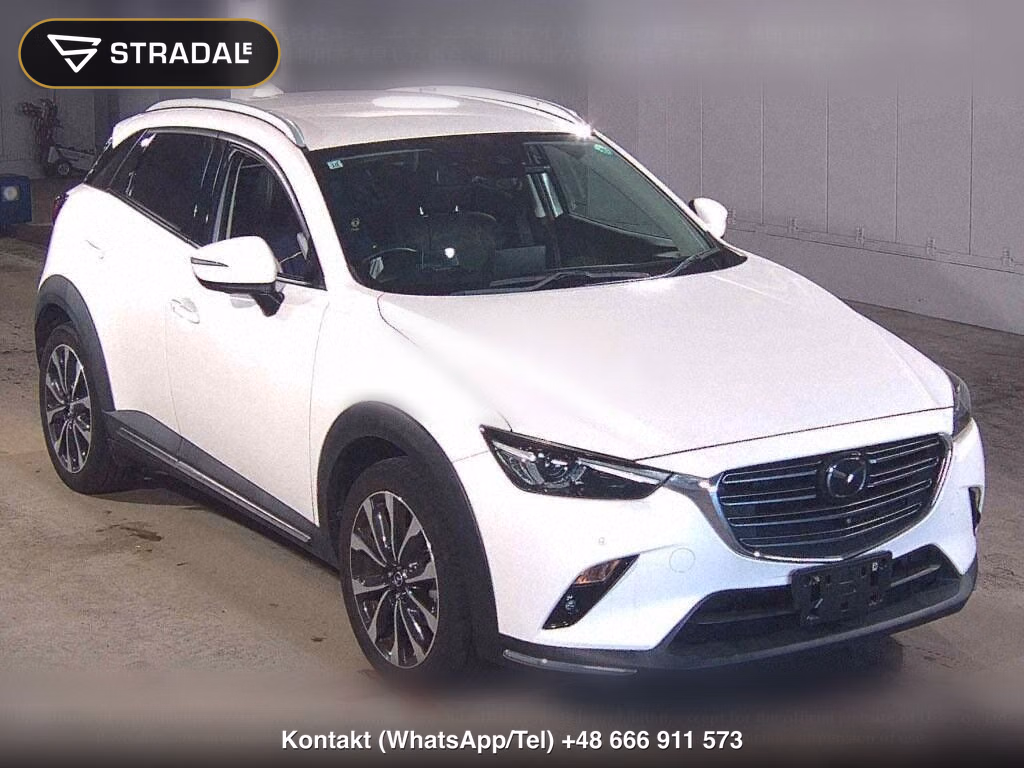 MAZDA CX-3 20S PROACTIVE S PACKAGE, miniaturka 2