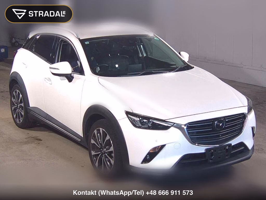 MAZDA CX-3 20S PROACTIVE S PACKAGE 2019, aukcja z Japonii, zdjęcie 1