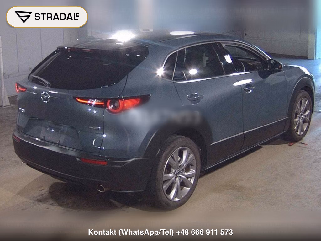 MAZDA CX-30 20S L PACKAGE, miniaturka 6