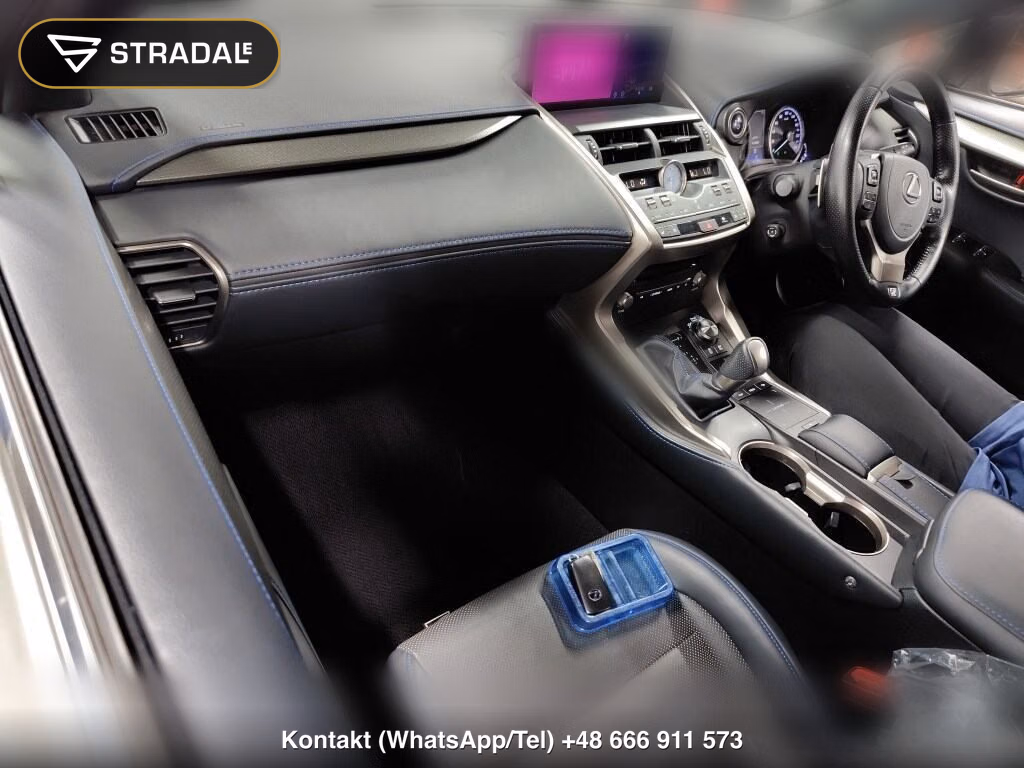 LEXUS NX NX300H SPECIAL EDITION COOL AND BRIGHT, miniaturka 4