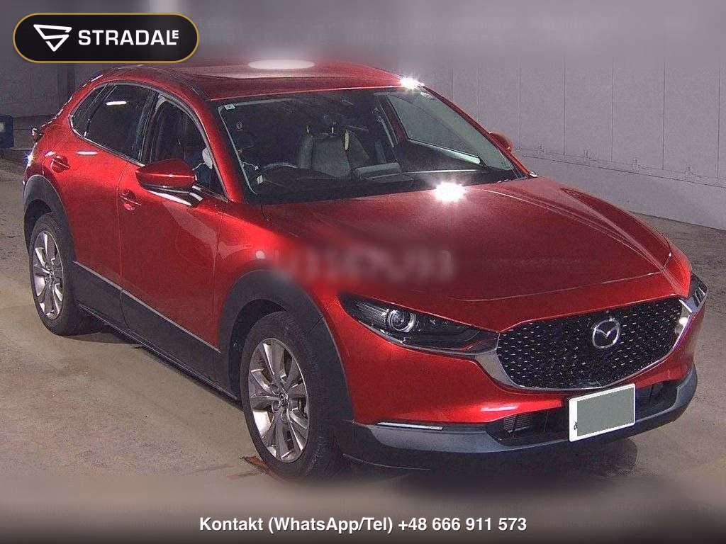 MAZDA CX-30 20S L PACKAGE, miniaturka 2