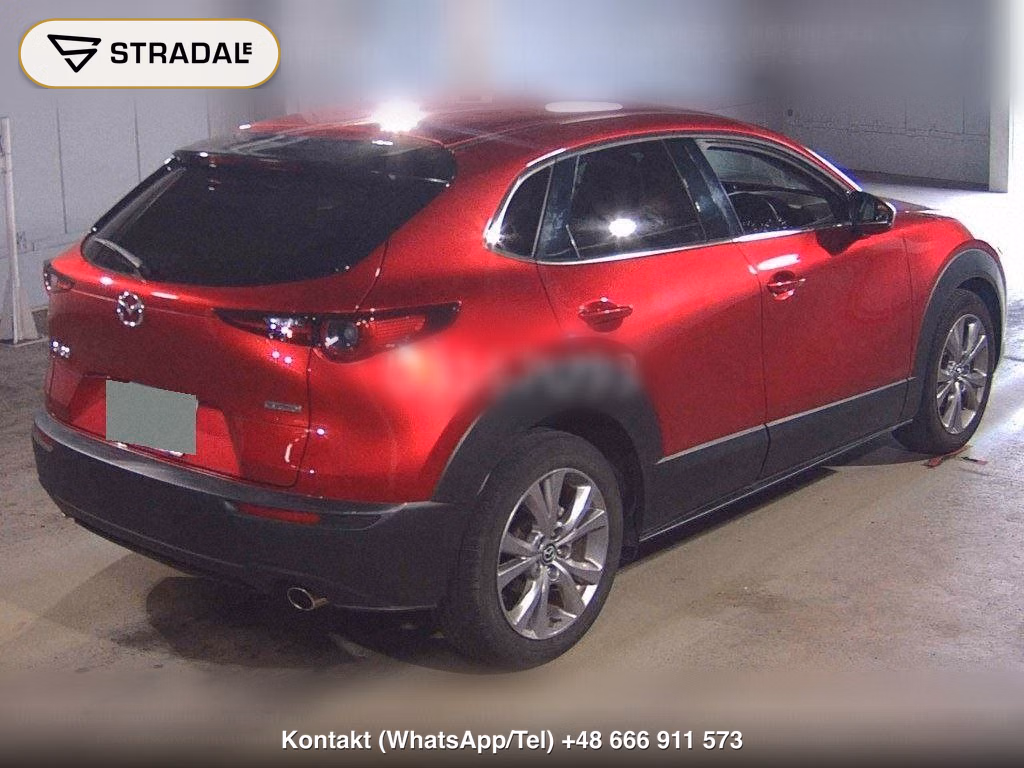 MAZDA CX-30 20S L PACKAGE, miniaturka 6