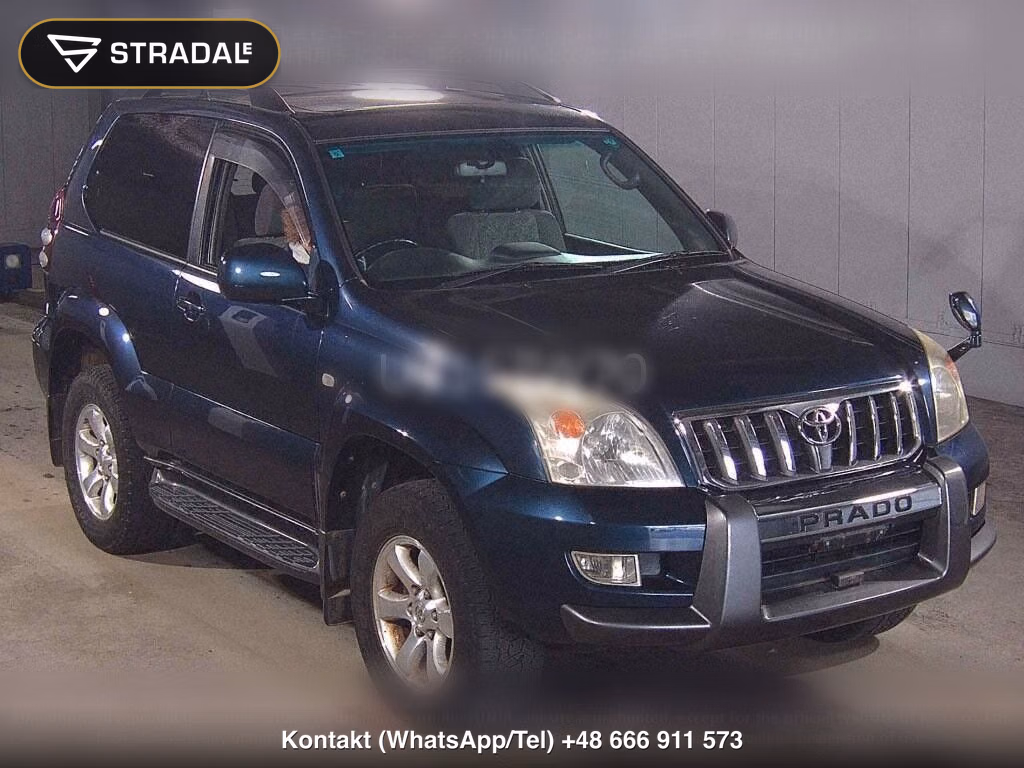 TOYOTA LAND CRUISER PRADO 3D 4WD RZ, miniaturka 2