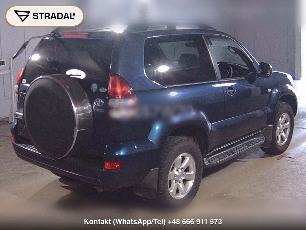 TOYOTA LAND CRUISER PRADO 3D 4WD RZ, miniaturka 6
