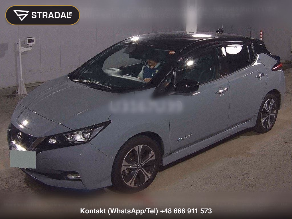 NISSAN LEAF E+ G, miniaturka 5