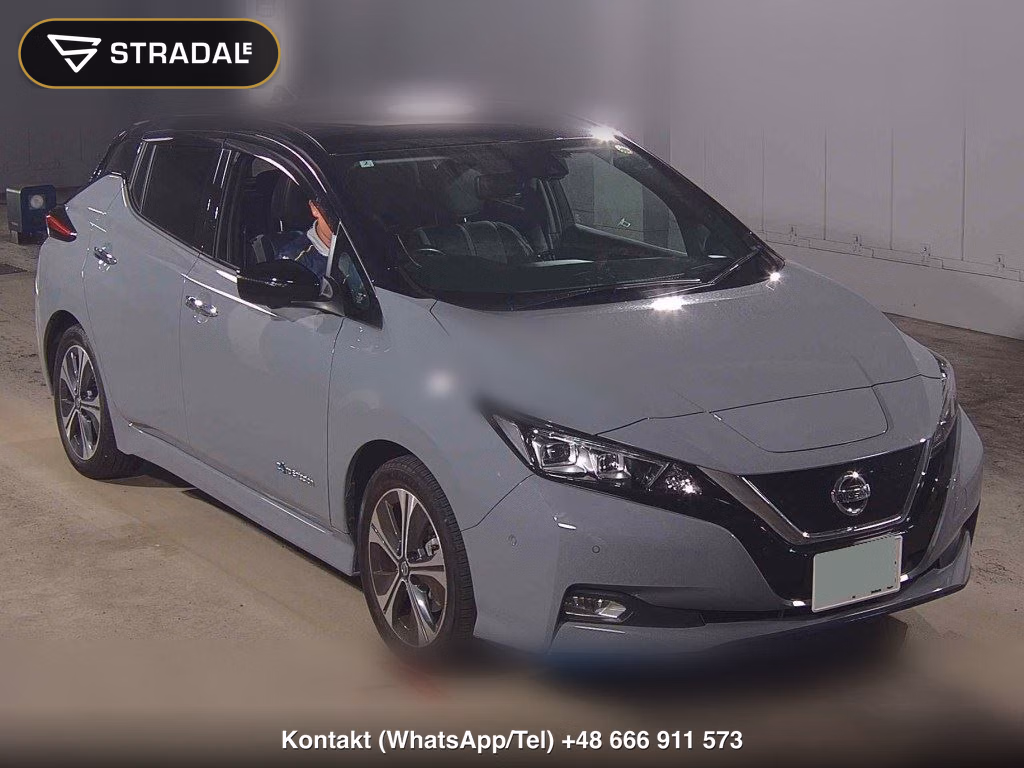 NISSAN LEAF E+ G 2020, aukcja z Japonii, zdjęcie 1