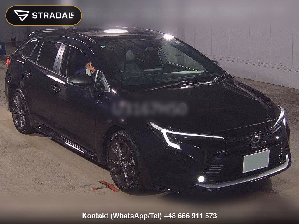 TOYOTA COROLLA TOURING WXB, miniaturka 2