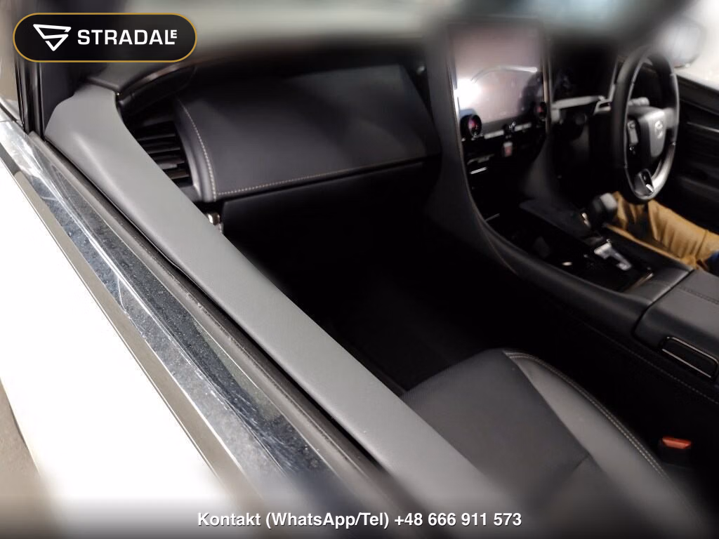 TOYOTA ALPHARD Z, miniaturka 4