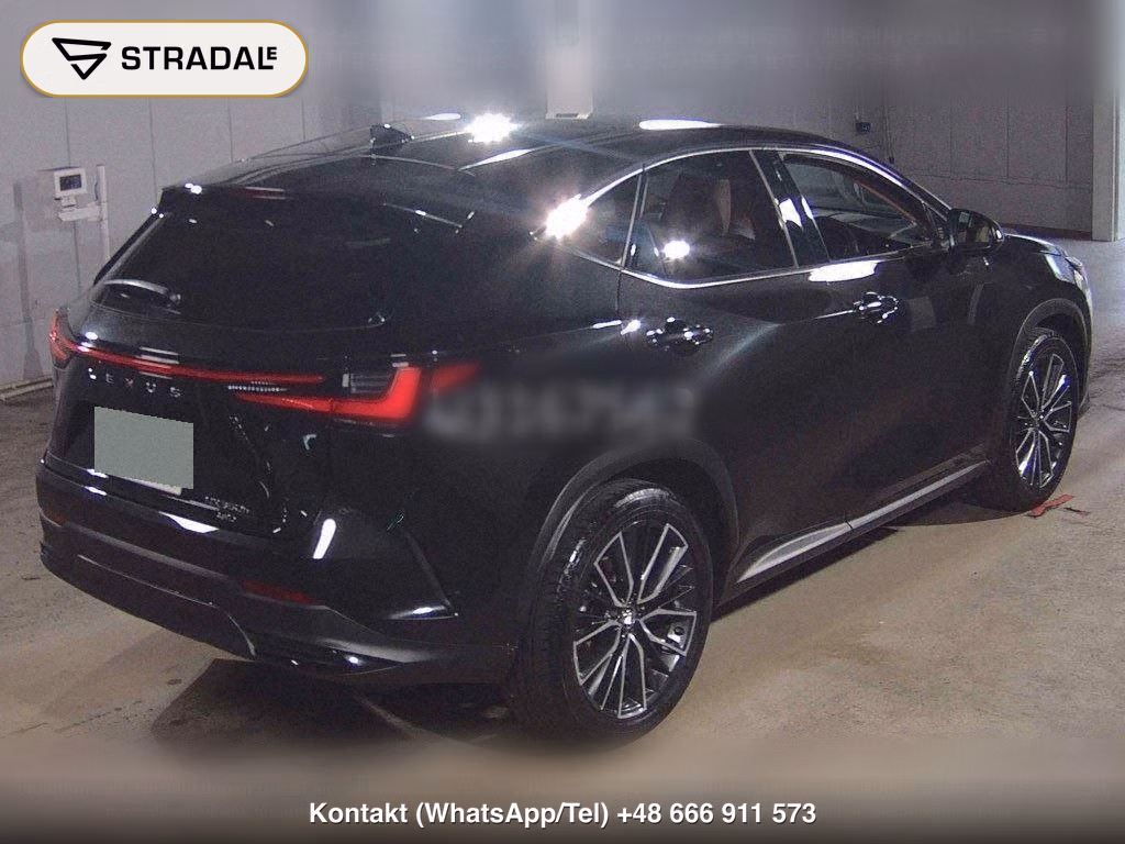 LEXUS NX 4WD NX350H VERSION L, miniaturka 6