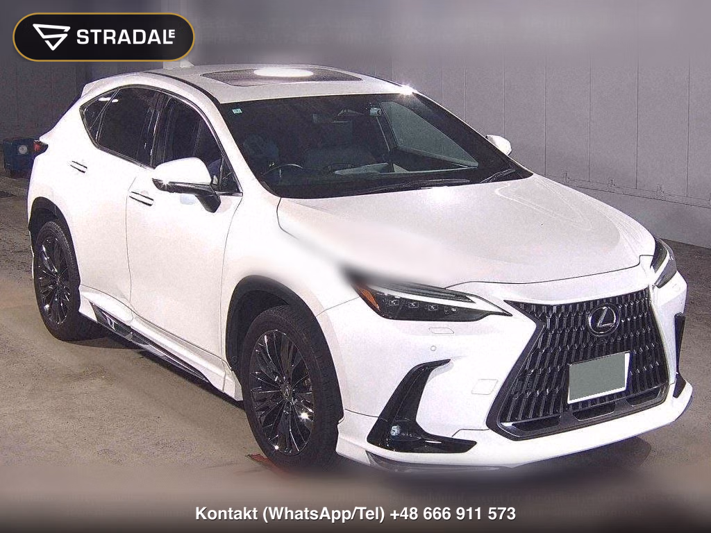 LEXUS NX NX250 VERSION L, miniaturka 2