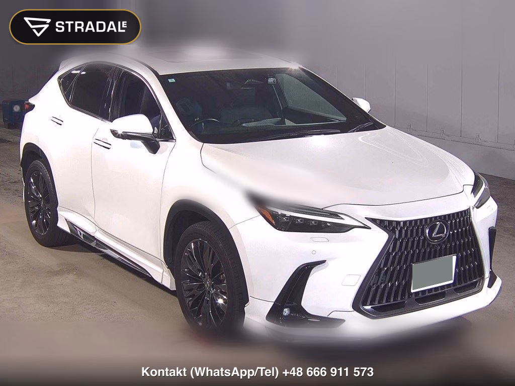 LEXUS NX NX250 VERSION L 2024, aukcja z Japonii, zdjęcie 1