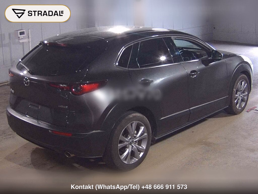 MAZDA CX-30 20S L PACKAGE, miniaturka 6