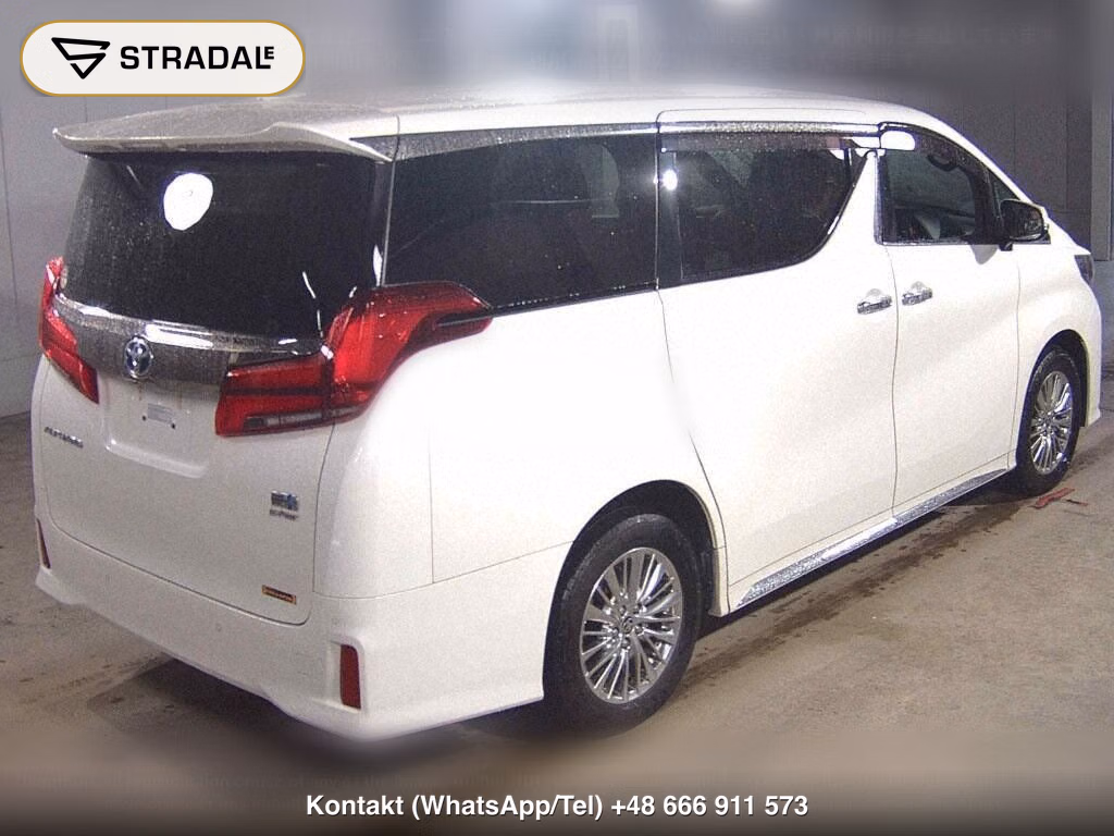 TOYOTA ALPHARD HYBRID 4WD S TYPE GOLDⅡ, miniaturka 6
