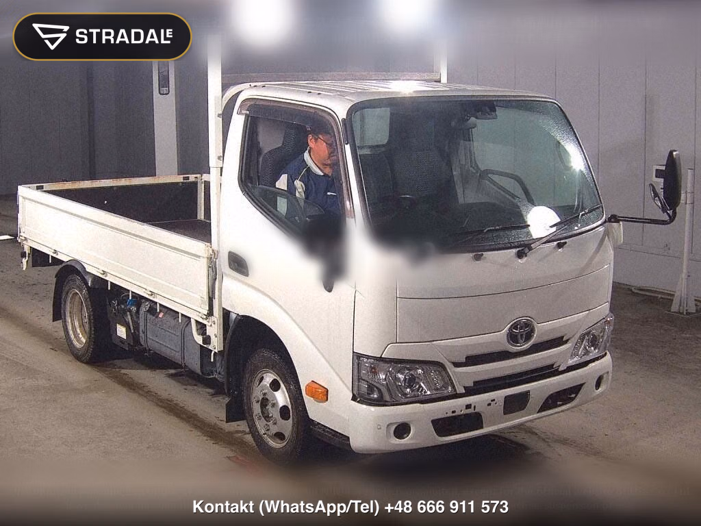 TOYOTA DYNA TRUCK 2D, miniaturka 2