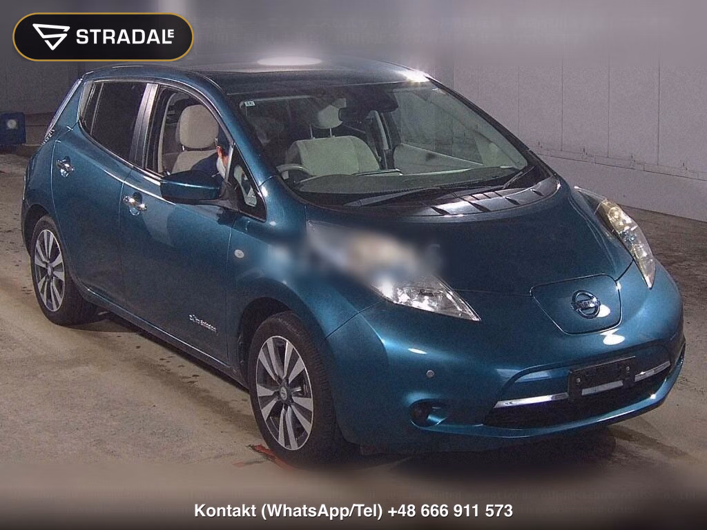 NISSAN LEAF X THANKS EDITION(30KWH), miniaturka 2