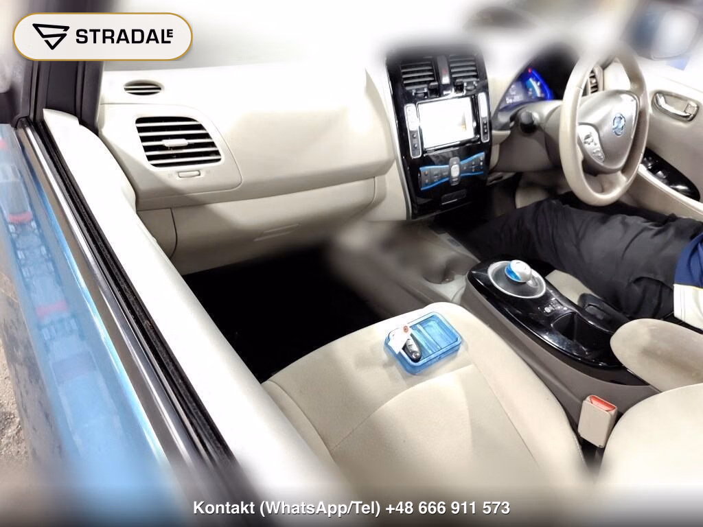 NISSAN LEAF X THANKS EDITION(30KWH), miniaturka 4