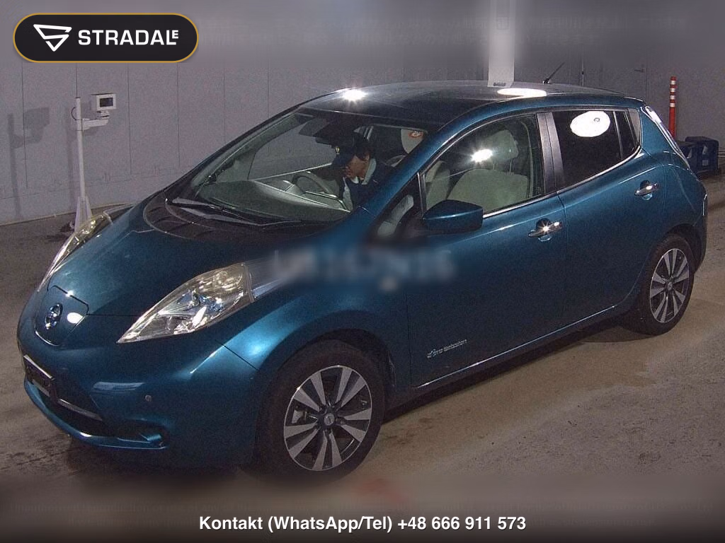 NISSAN LEAF X THANKS EDITION(30KWH), miniaturka 5