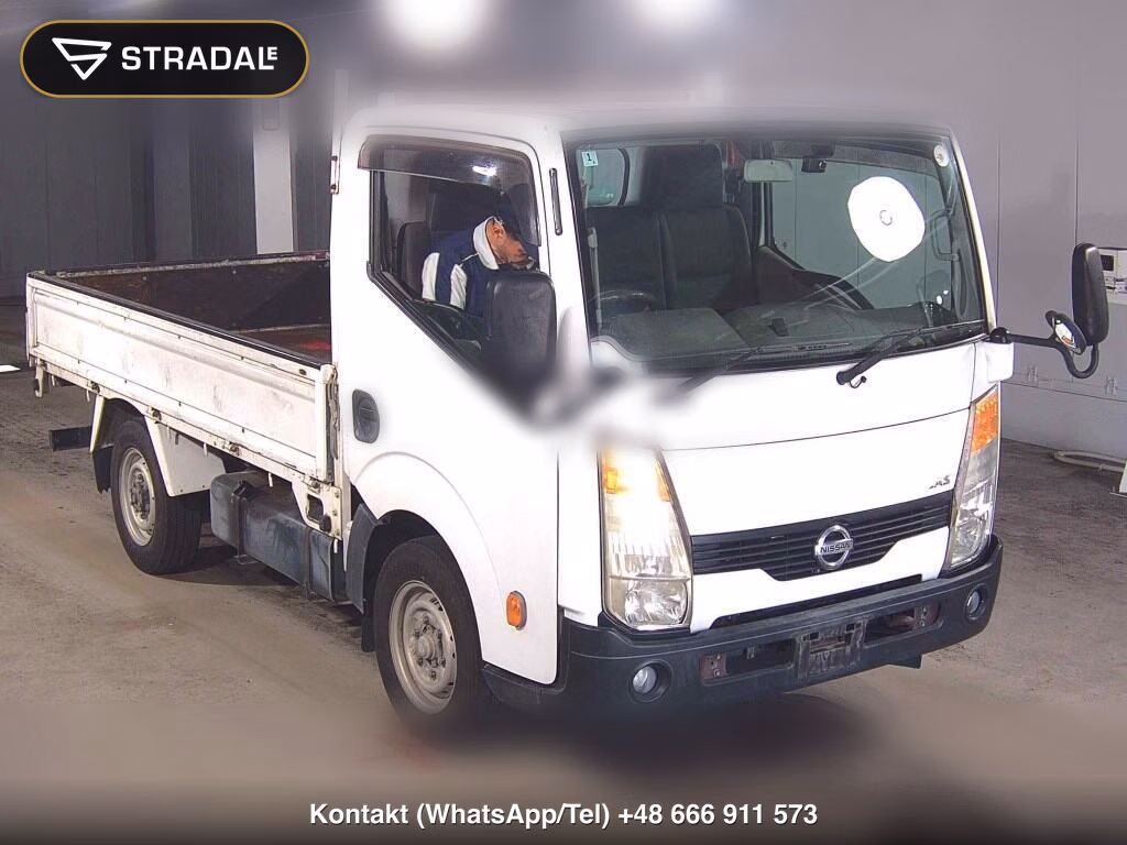 NISSAN ATLAS TRUCK 2D 2010, aukcja z Japonii, zdjęcie 1