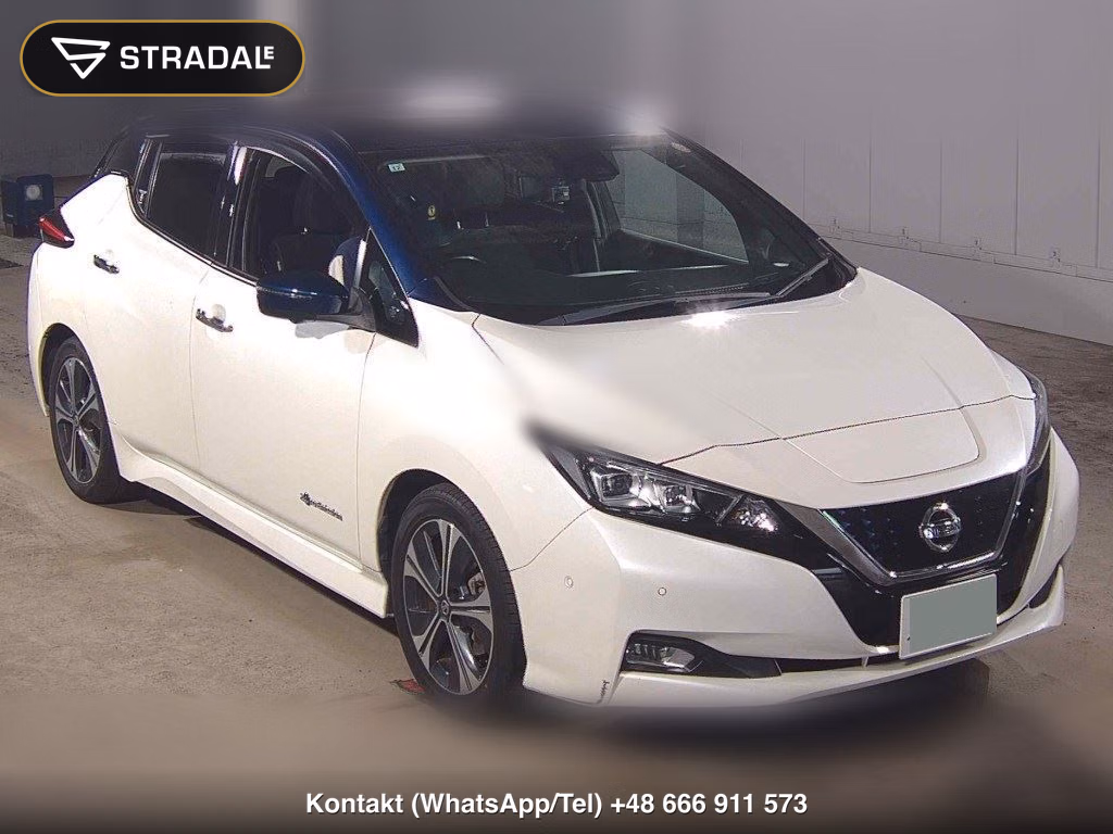 NISSAN LEAF G 2019, aukcja z Japonii, zdjęcie 1