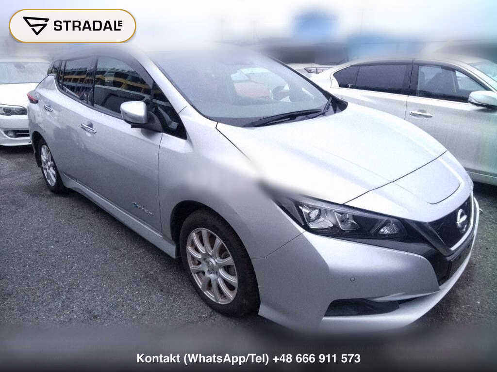 NISSAN LEAF X 10 THOUSAND UNITS MEMORIAL CAR, miniaturka 2
