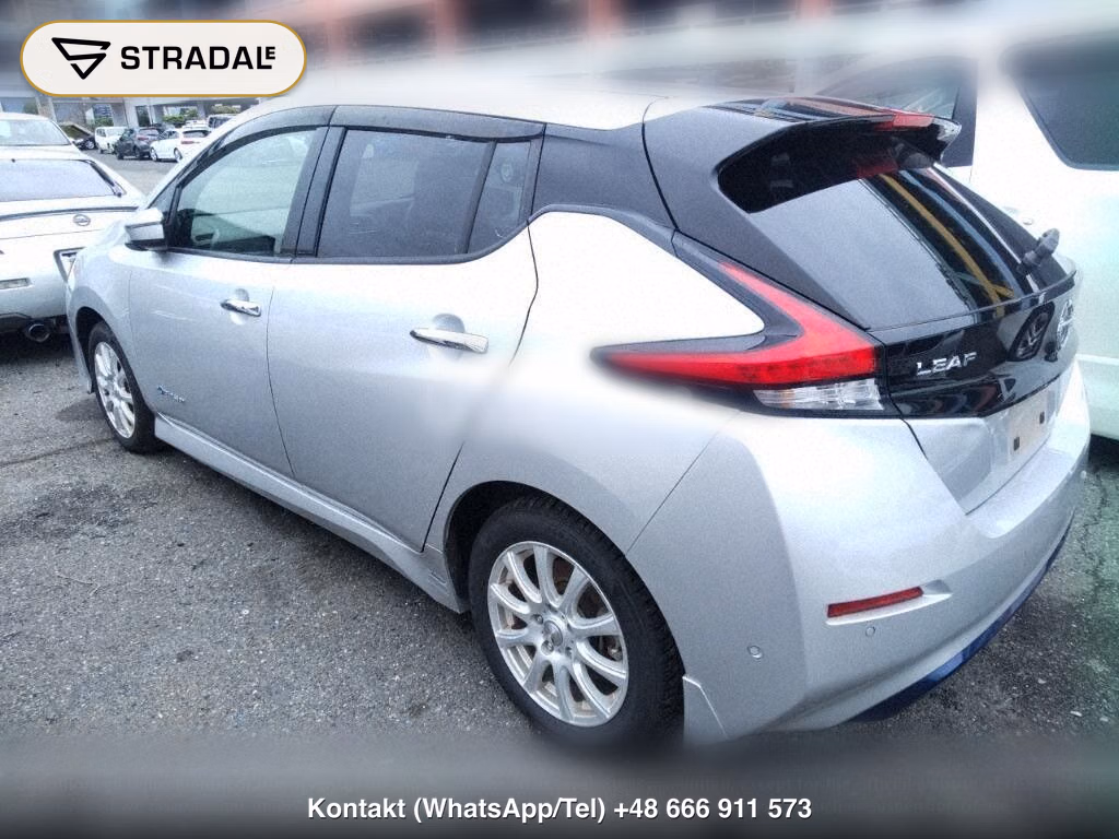 NISSAN LEAF X 10 THOUSAND UNITS MEMORIAL CAR, miniaturka 3