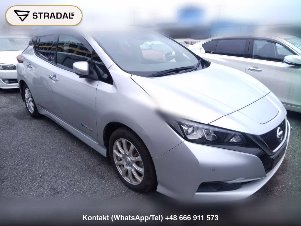 NISSAN LEAF X 10 THOUSAND UNITS MEMORIAL CAR 2018, aukcja z Japonii, zdjęcie 1