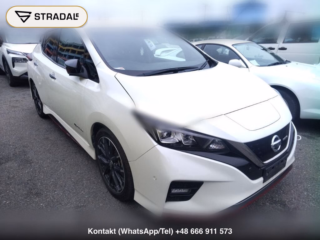 NISSAN LEAF NISMO 2019, aukcja z Japonii, zdjęcie 1