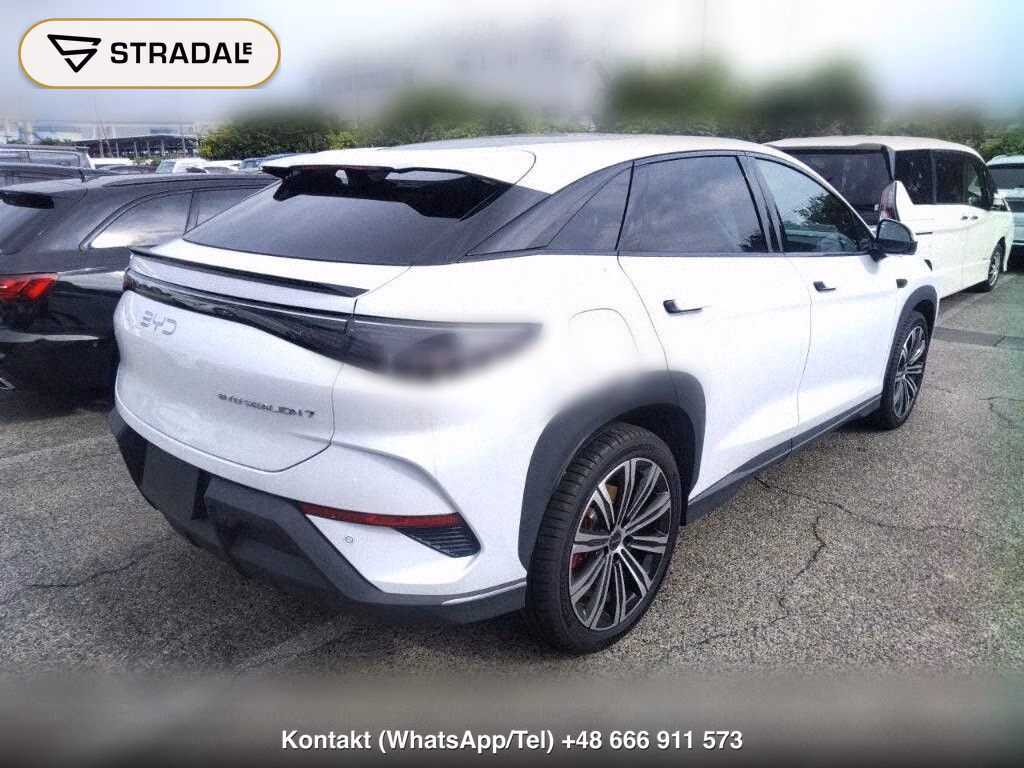 BYD SEALION 7 4WD, miniaturka 6