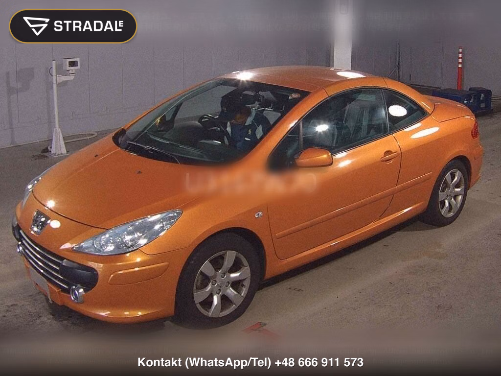 PEUGEOT 307 OP CC 2.0, miniaturka 5