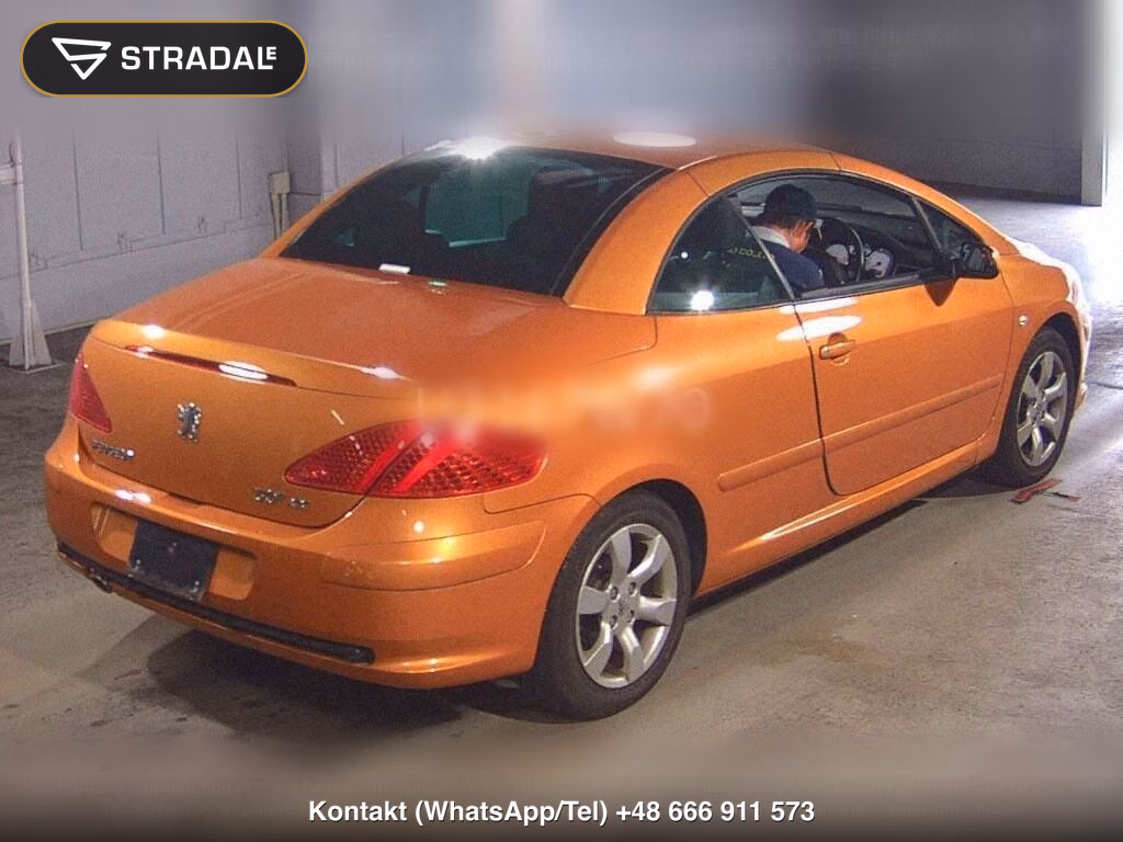 PEUGEOT 307 OP CC 2.0, miniaturka 6