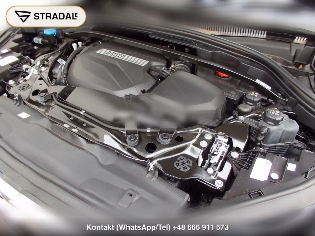 BMW X2 4WD XDRIVE 20D M-SPORT, miniaturka 12
