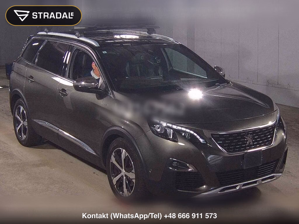 PEUGEOT 5008 OTHERS, miniaturka 2