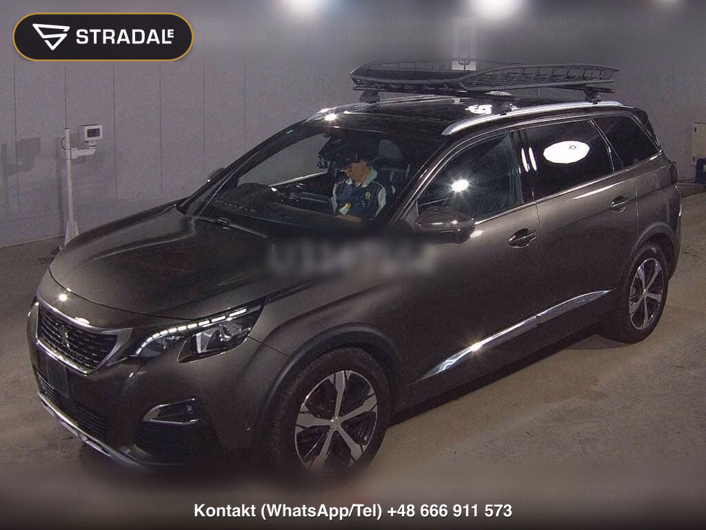 PEUGEOT 5008 OTHERS, miniaturka 5