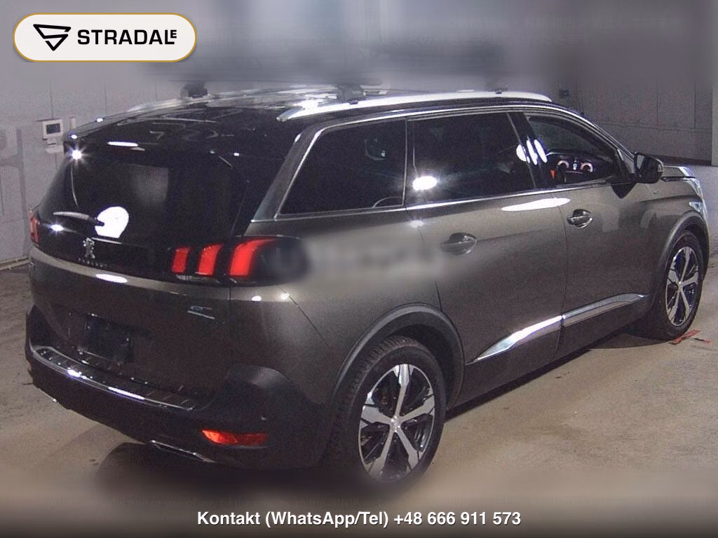 PEUGEOT 5008 OTHERS, miniaturka 6
