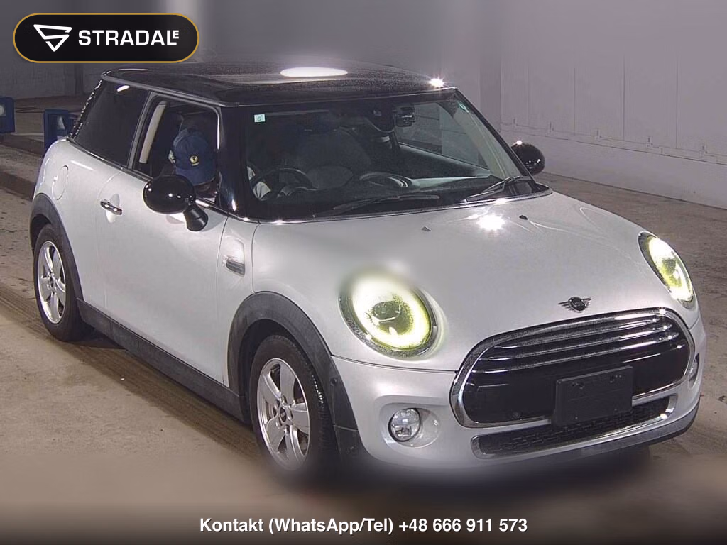 MINI MINI 3D COOPER 2019, aukcja z Japonii, zdjęcie 1