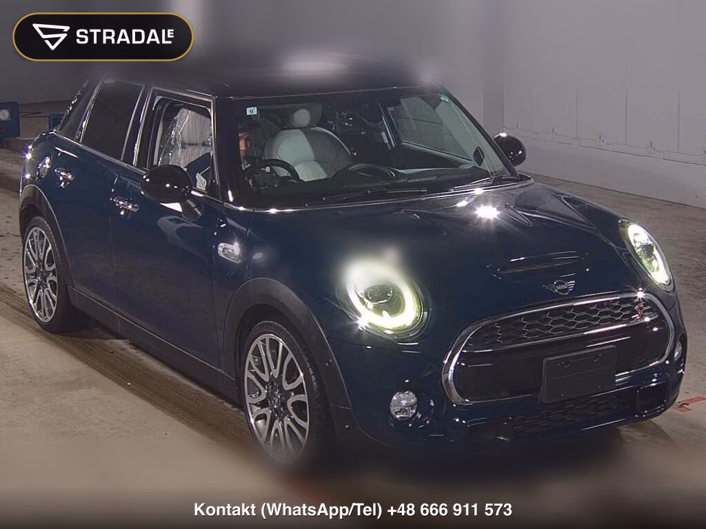 MINI MINI 5D OTHERS 2019, aukcja z Japonii, zdjęcie 1
