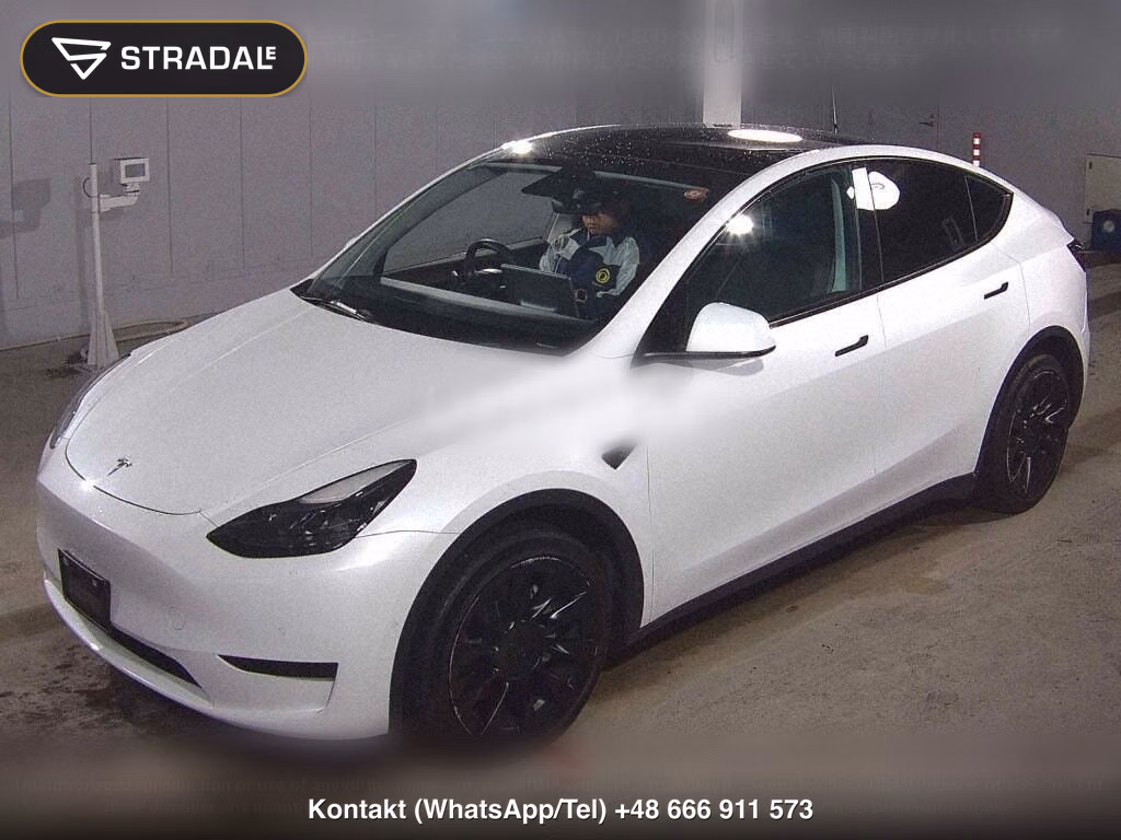 TESLA MODEL Y RWD, miniaturka 5