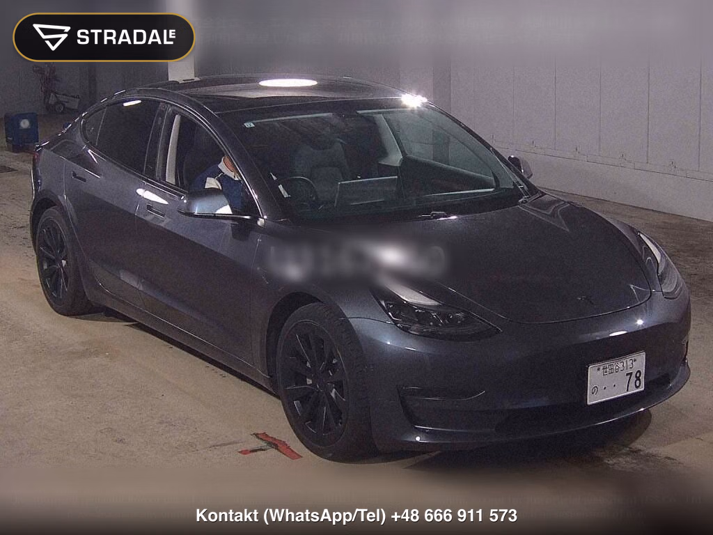 TESLA MODEL 3 4WD LONG RANGE, miniaturka 2