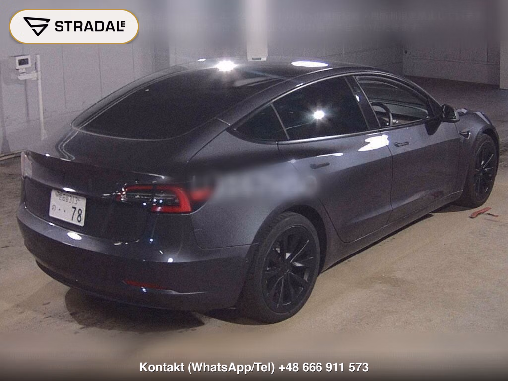 TESLA MODEL 3 4WD LONG RANGE, miniaturka 6