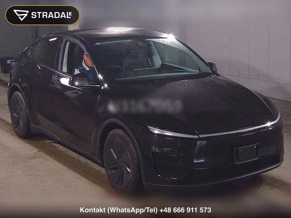 TESLA MODEL Y RWD, miniaturka 2